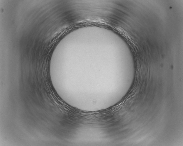 X0000089461110200706151059