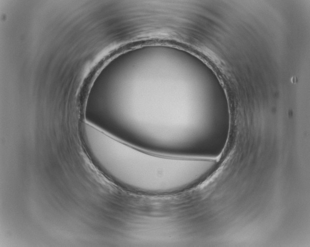 X0000089461118200706151059