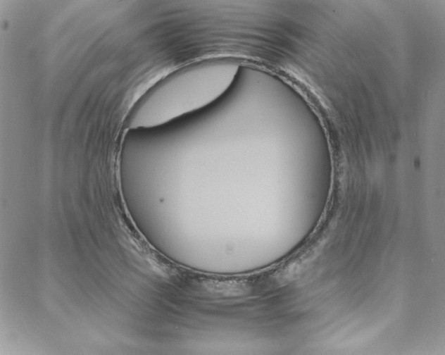 X0000089461121200706151059