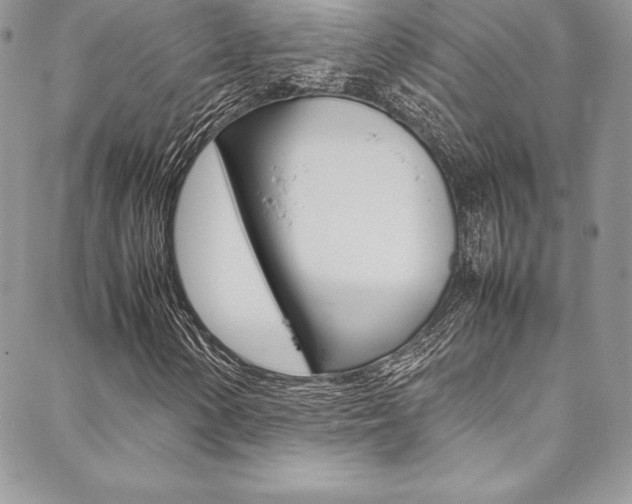 X0000089461154200706151058