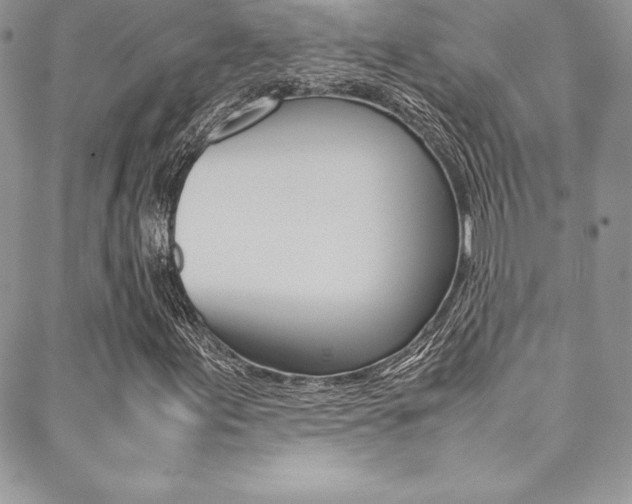 X0000089461155200706151058