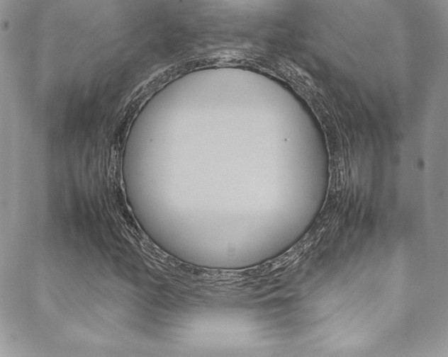 X0000089461158200706151058