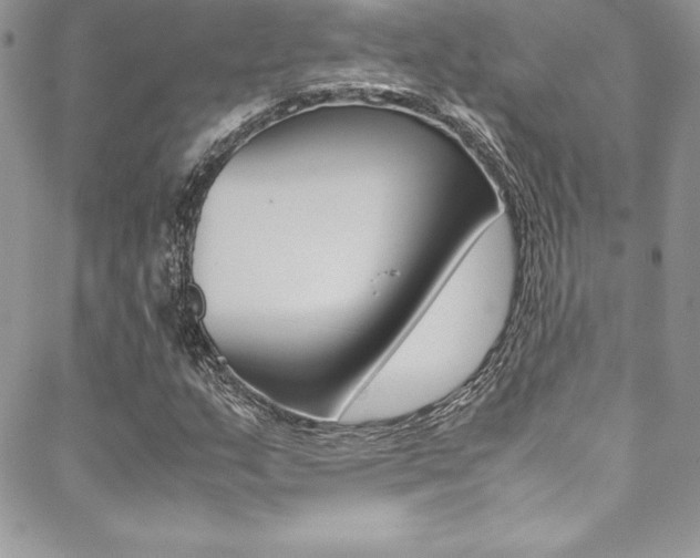 X0000089461159200706151058