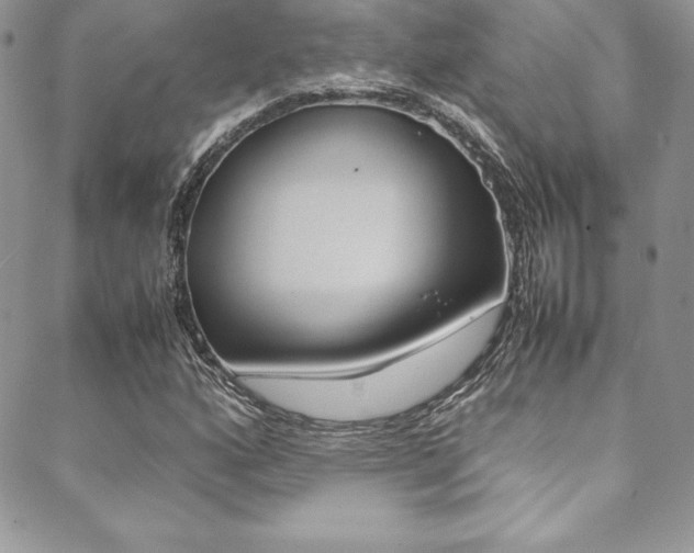 X0000089461160200706151058