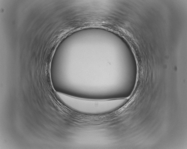 X0000089461161200706151058