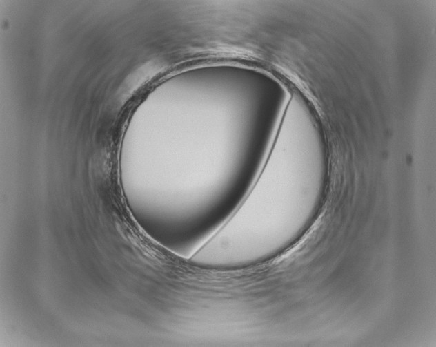 X0000089461163200706151058