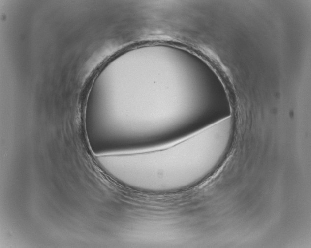 X0000089461167200706151058