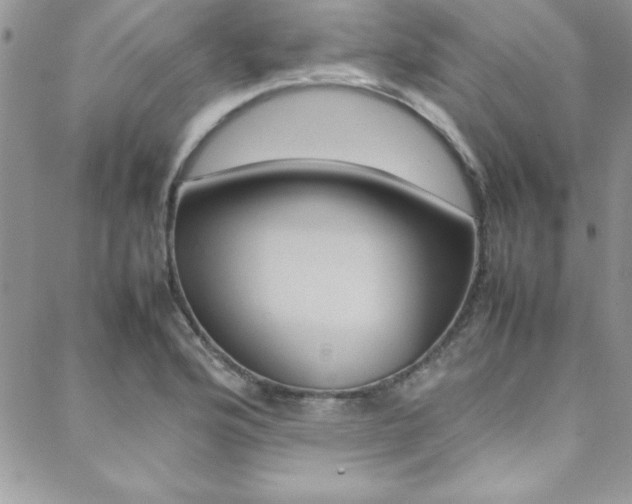 X0000089461176200706151058