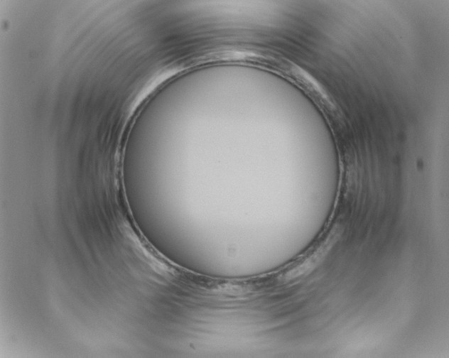 X0000089461178200706151058