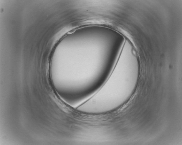 X0000089461179200706151058