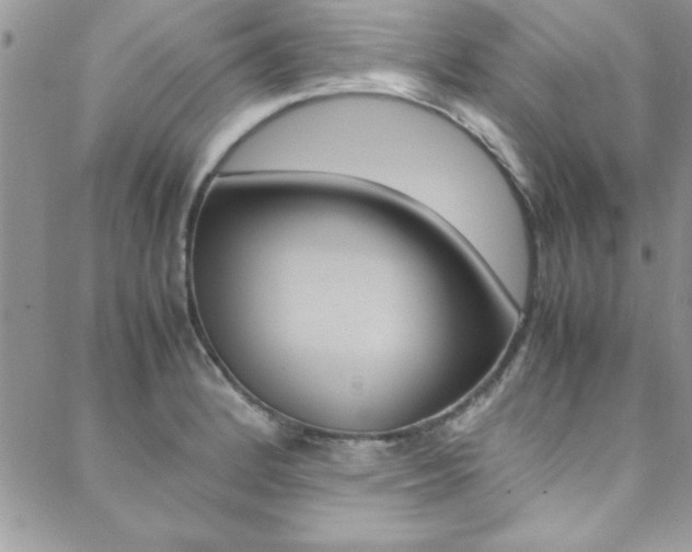 X0000089461184200706151058