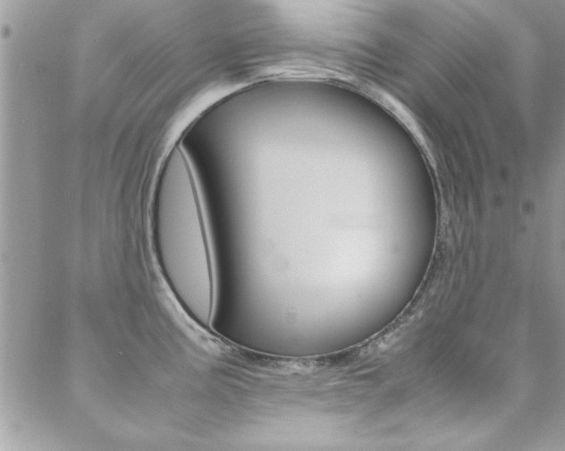 X0000089461195200706151058