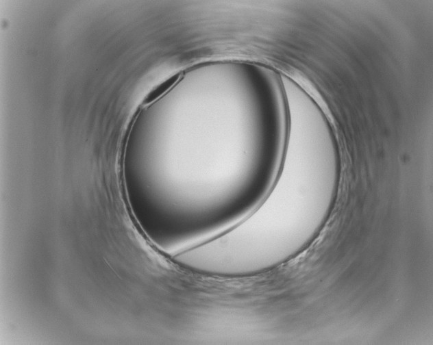 X0000089461197200706151058