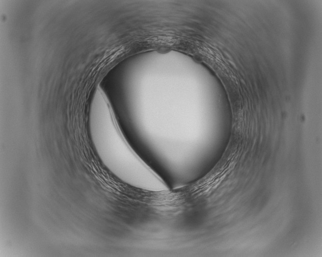 X0000089461201200706151057