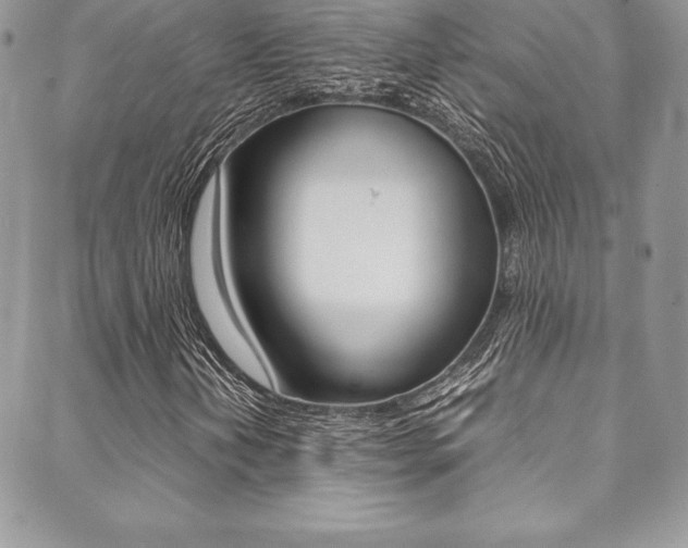 X0000089461202200706151057