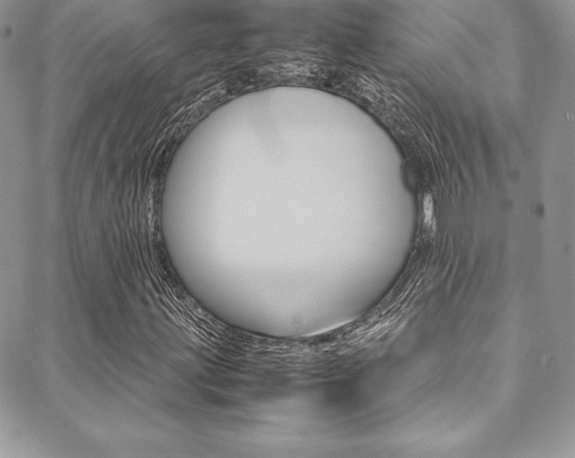 X0000089461203200706151057