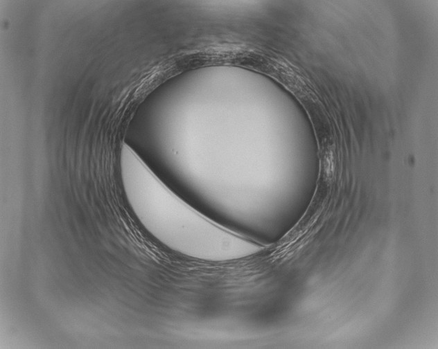 X0000089461204200706151057
