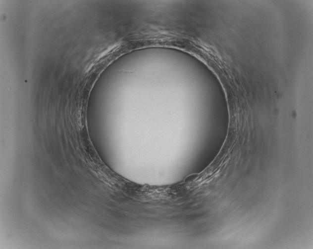 X0000089461205200706151057