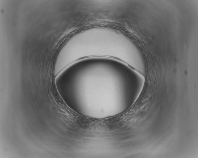 X0000089461206200706151057