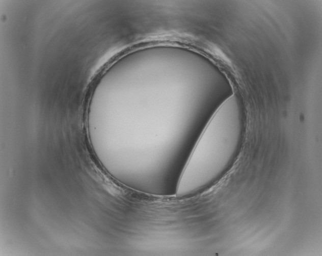 X0000089461216200706151057
