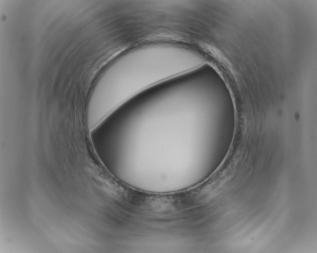 X0000089461217200706151057