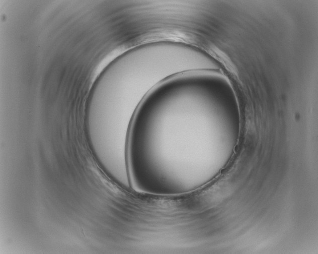 X0000089461226200706151057