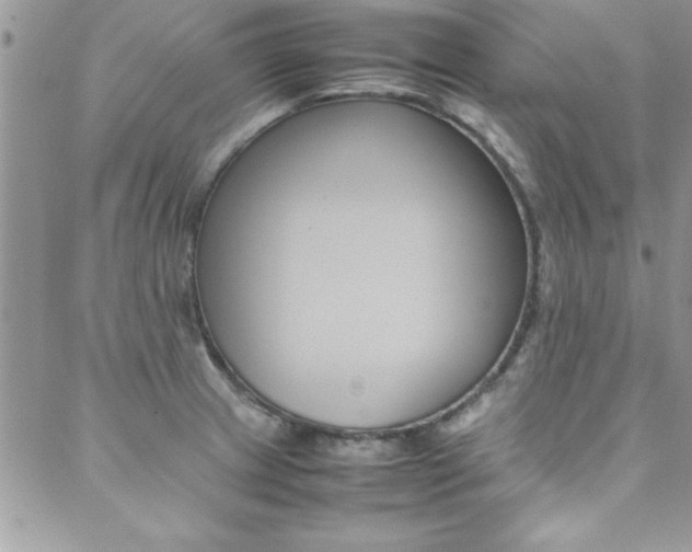 X0000089461233200706151057