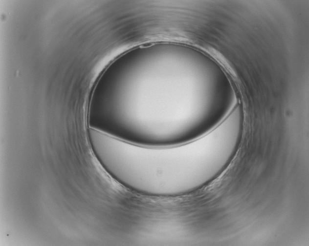 X0000089461246200706151058