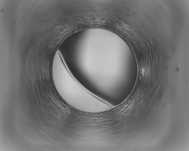 X0000089461252200706151057