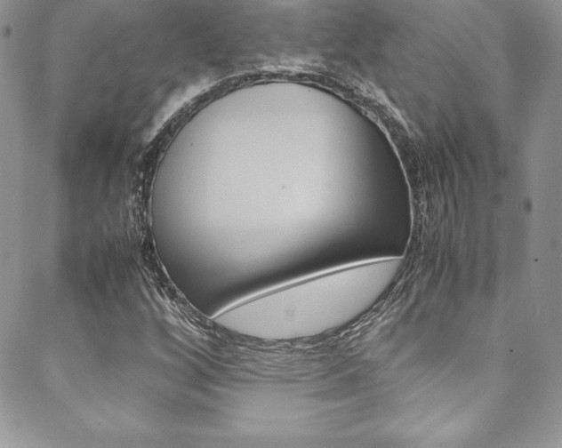 X0000089461256200706151057