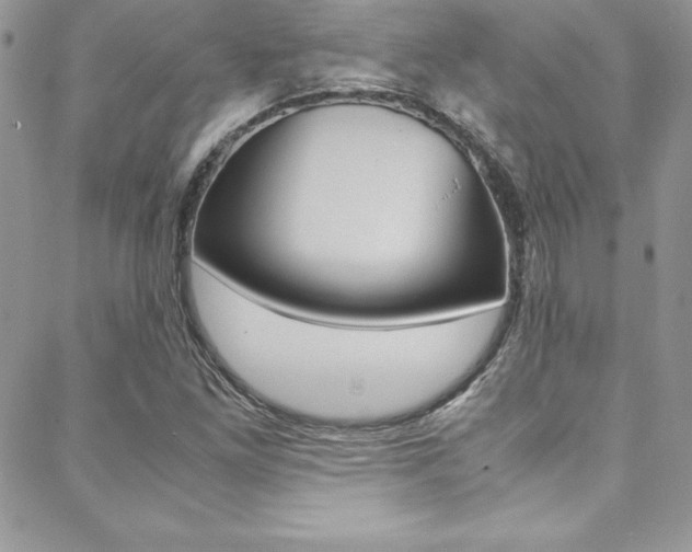X0000089461261200706151057