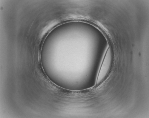 X0000089461269200706151057