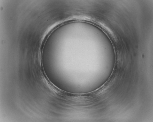 X0000089461272200706151057