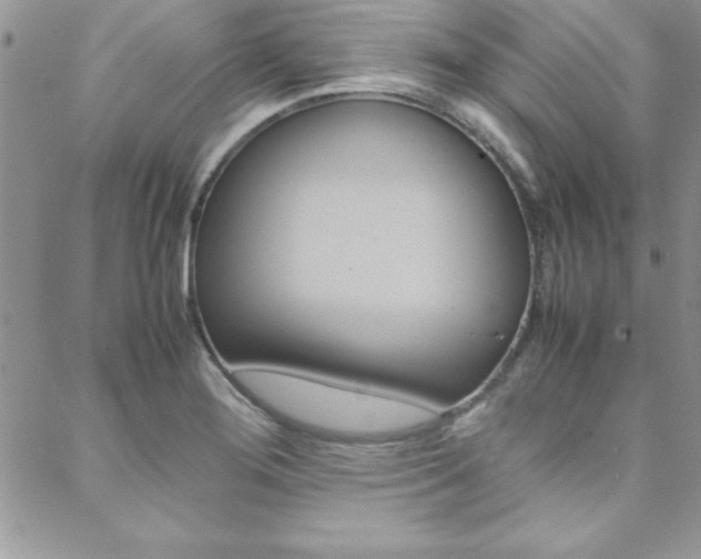 X0000089461276200706151056