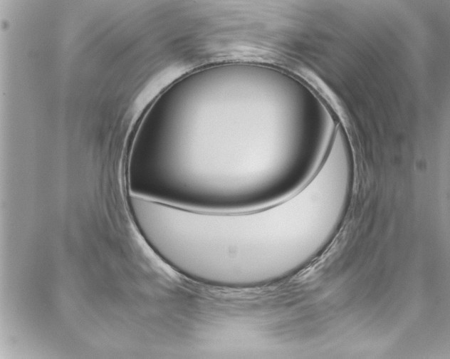 X0000089461293200706151056
