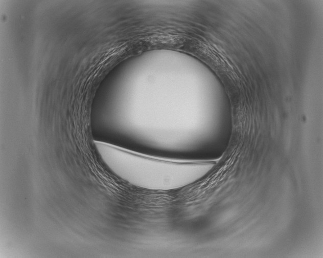 X0000089461297200706151055