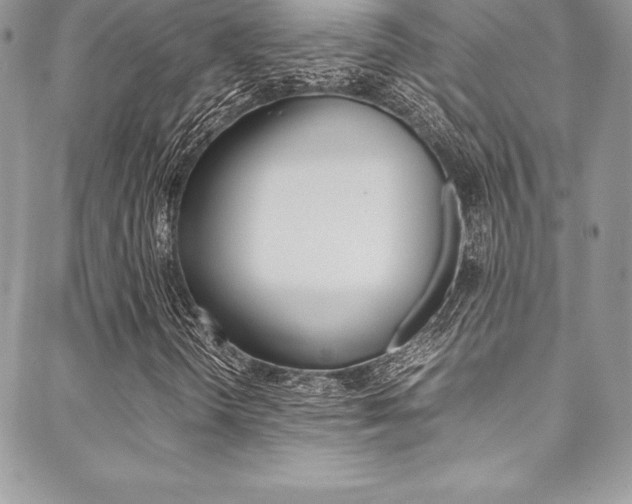 X0000089461298200706151055
