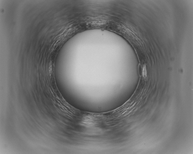 X0000089461299200706151055