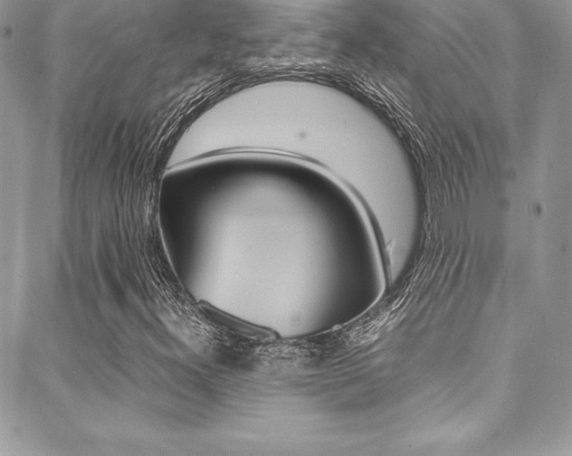 X0000089461300200706151055
