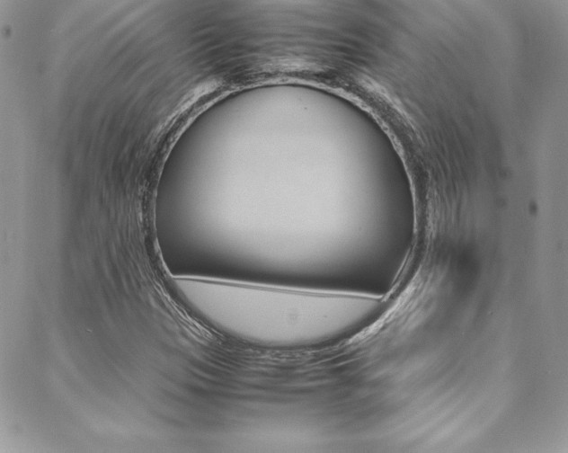 X0000089461305200706151056