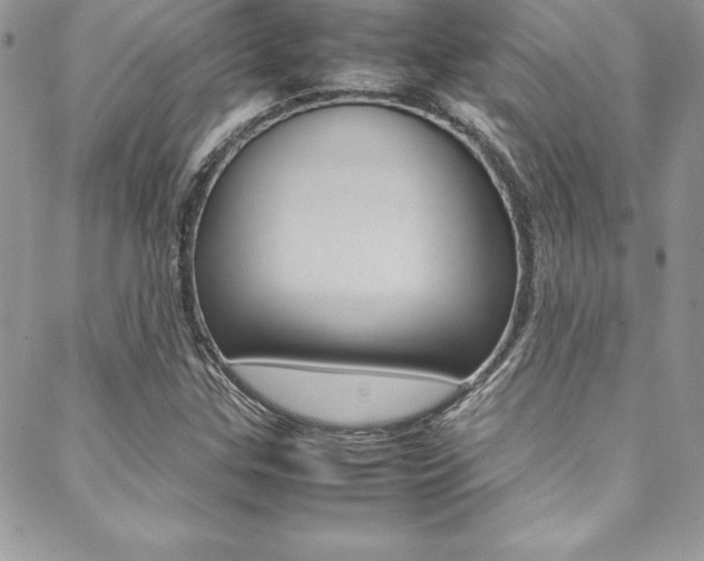 X0000089461307200706151056