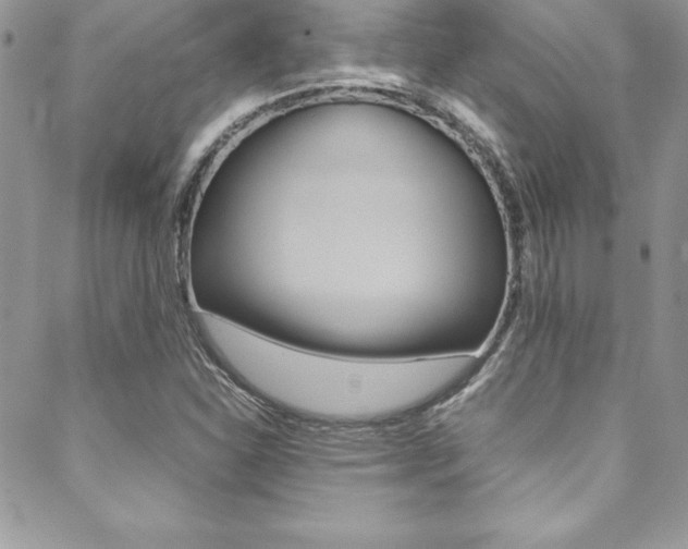 X0000089461310200706151056