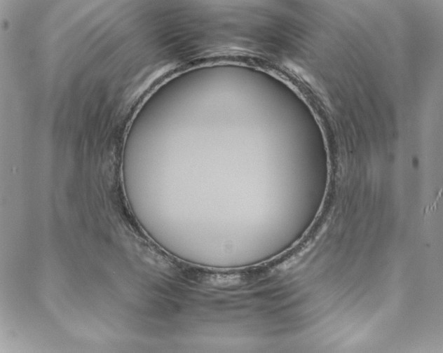 X0000089461313200706151056