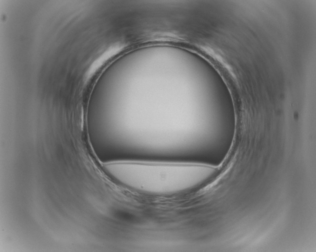 X0000089461317200706151056