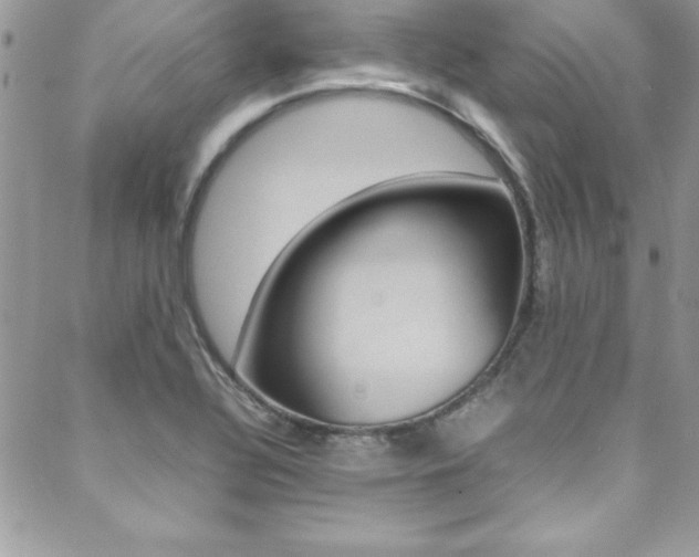 X0000089461320200706151056