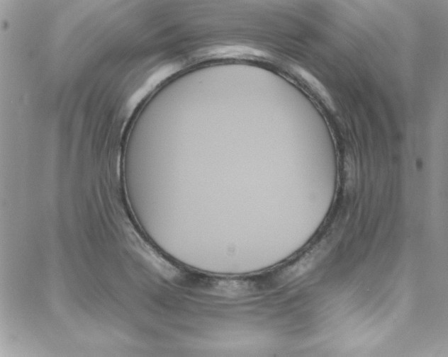 X0000089461322200706151056