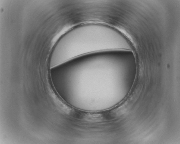 X0000089461325200706151056