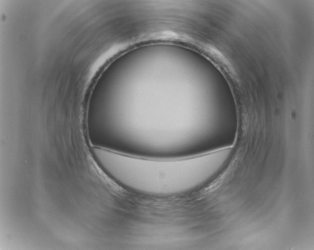 X0000089461326200706151056