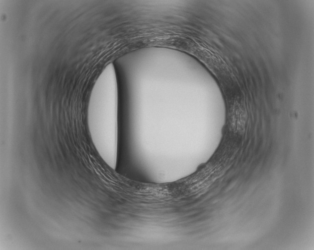 X0000089461346200706151055
