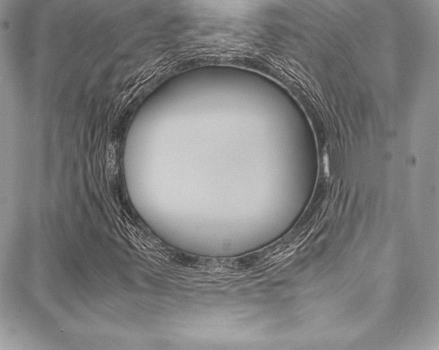 X0000089461347200706151055